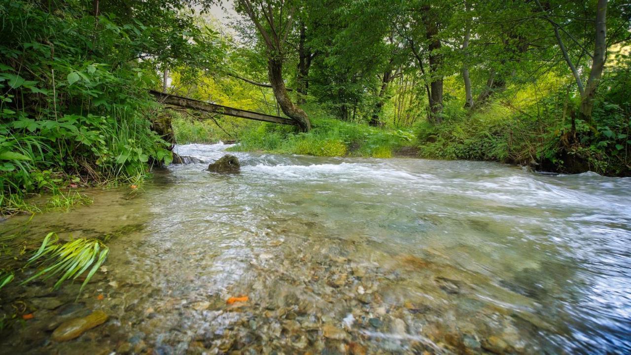 River Residence Chalet Statiunea Climaterica Sambata Luaran gambar