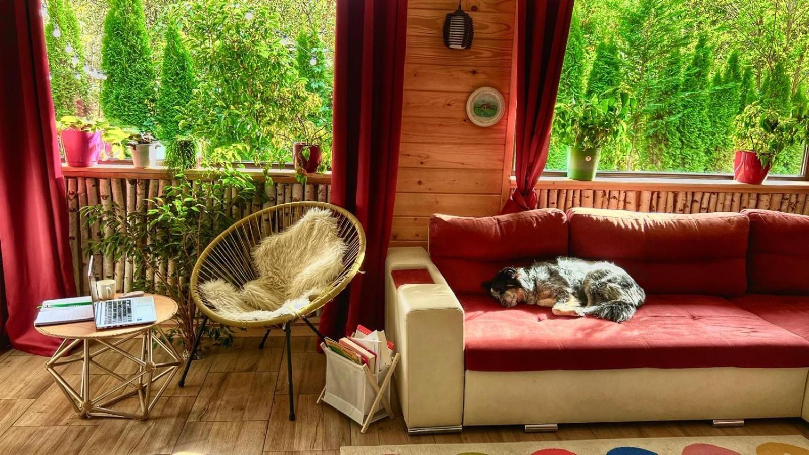 River Residence Chalet Statiunea Climaterica Sambata Luaran gambar